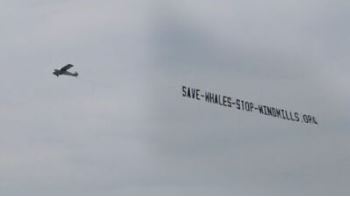 Save Whales Stop Windmills - 1.JPG